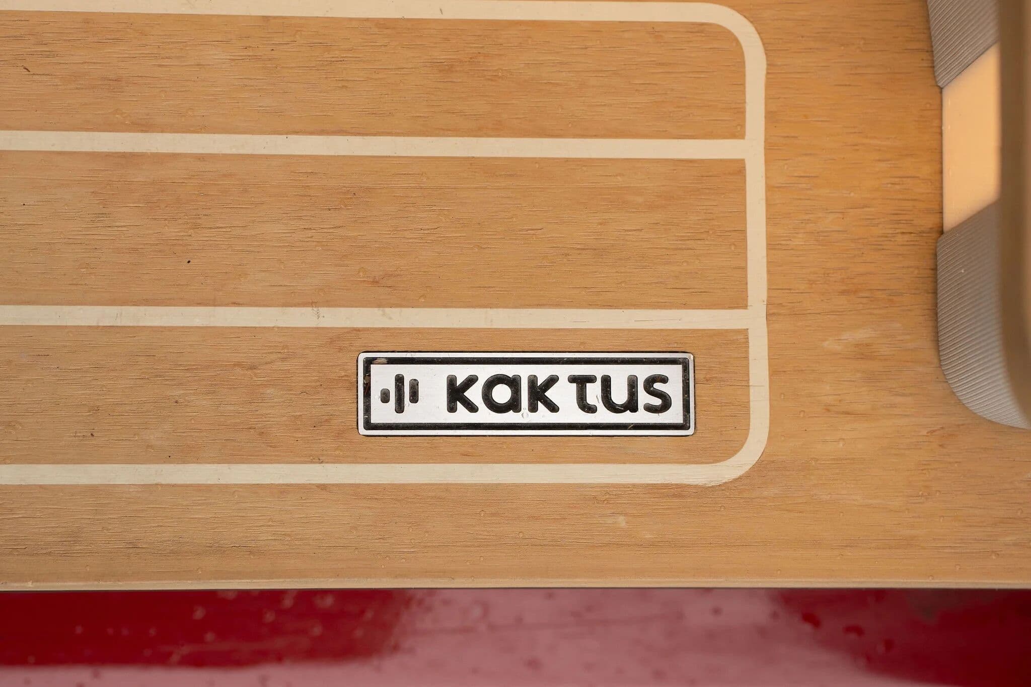 KaktusVans_-8